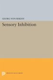 Sensory Inhibition (eBook, PDF)