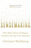 Sensemaking (eBook, ePUB) Sensemaking (eBook, ePUB)