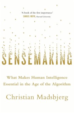 Sensemaking (eBook, ePUB) - Madsbjerg, Christian