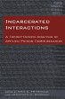 Incarcerated Interactions (eBook, ePUB) - Bild 1
