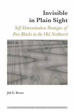Invisible in Plain Sight (eBook, ePUB) - Jill E. Rowe, Rowe