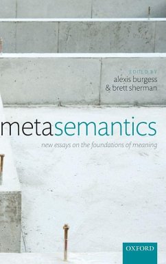 Cover METASEMANTICS C