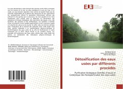 Détoxification des eaux usées par différents procédés - Grara, Nedjoud;Boucheleghem, Amira;Bouregaa, Marwa