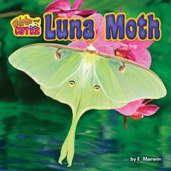 Luna Moth - Merwin, E.