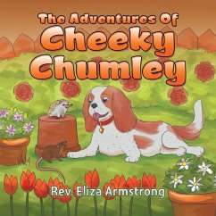The Adventures of Cheeky Chumley