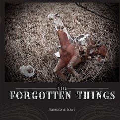 Forgotten Things - Lowe, Rebecca