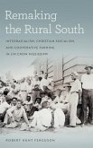 Remaking the Rural South