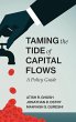 Taming the Tide of Capital Flows - Bild 1