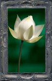 Letting the Lotus Bloom: The Expression of Soul Through Flowers