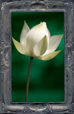 Letting the Lotus Bloom: The Expression of Soul Through Flowers - Kelly, Kevin Joel