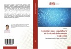 Évolution sous irradiations de la ténacité des verres nucléaires