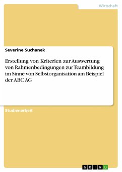 Erstellung von Kriterien zur Auswertung von Rahmenbedingungen zur Teambildung im Sinne von Selbstorganisation am Beispiel der ABC AG (eBook, PDF)