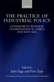 The Practice of Industrial Policy (eBook, ePUB)