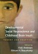 Developmental Social Neuroscience and... - Bild 1