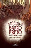 O mágico do Barro Preto (eBook, ePUB)