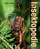 Insektopedie - Die geheime wêreld van Suider-Afrikaanse insekte (eBook, ePUB)