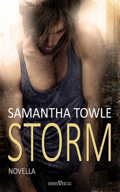 Storm (eBook, ePUB) - Towle, Samantha