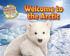 Welcome to the Arctic - Head, Honor