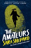 The Amateurs (eBook, ePUB)