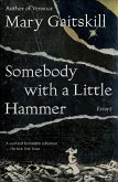 Somebody with a Little Hammer (eBook, ePUB)