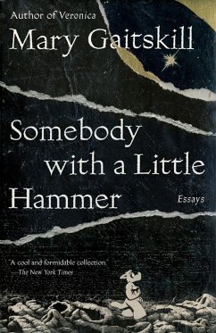 Somebody with a Little Hammer (eBook, ePUB) - Gaitskill, Mary