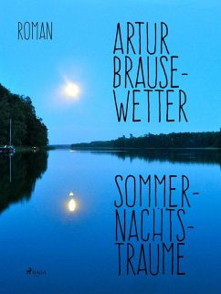 Sommernachtsträume (eBook, ePUB) - Brausewetter, Artur