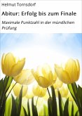 Abitur: Erfolg bis zum Finale (eBook, ePUB)