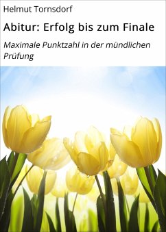 Cover Abitur: Erfolg bis zum Finale (eBook, ePUB)