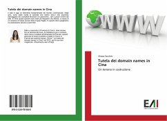 Tutela dei domain names in Cina