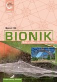 Bionik: Seil- und Netzkonstruktionen