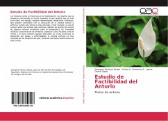 Estudio de Factibilidad del Anturio - Pacheco Rodas, Georgina;Contreras A., Carlos A.;Osorio López, Jaime