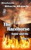 The Racehorse - Feuer und Eis Teil 3 (eBook, ePUB)
