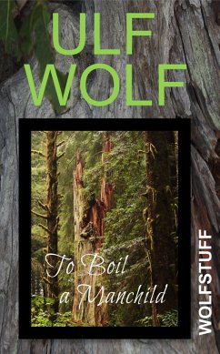 To Boil a Manchild (eBook, ePUB) - Wolf, Ulf