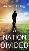 Nation Divided (eBook, ePUB)