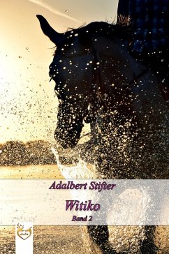 Witiko (eBook, ePUB) - Stifter, Adalbert