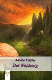 Der Waldsteig (eBook, ePUB)