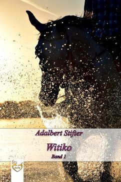 Witiko (eBook, ePUB) - Stifter, Adalbert