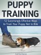 Puppy Training: 12 Surprisingly... - Bild 1