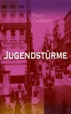 Jugendstürme (eBook, ePUB)