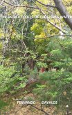 The Sacred Forest of the Spring Water (eBook, ePUB) The Sacred Forest of the Spring Water (eBook, ePUB)