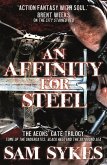 An Affinity for Steel (eBook, ePUB)