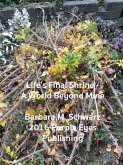 Life's Final Shrine - A World Beyond Mine (eBook, ePUB)