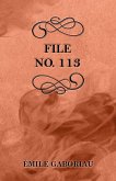 File No. 113 (eBook, ePUB)