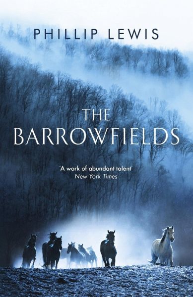 The Barrowfields (eBook, ePUB)