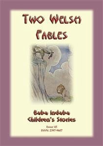 TWO WELSH FABLES - The Fable Of Gwrgan Farfdrwch and The Story Of The Pig-Trough (eBook, ePUB) - E Mouse, Anon