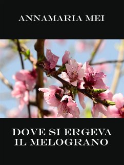 Dove si ergeva il melograno (eBook, ePUB) - Mei, Annamaria; Mei, Annamaria