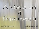 Andavo via a frammenti (eBook, PDF)