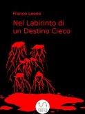 Nel Labirinto di un Destino Cieco (eBook, ePUB)