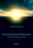 Untertriebener Wahnsinn (eBook, ePUB)