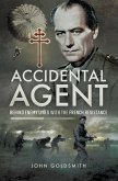Accidental Agent (eBook, ePUB)